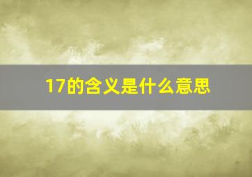 17的含义是什么意思