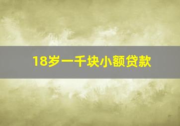 18岁一千块小额贷款