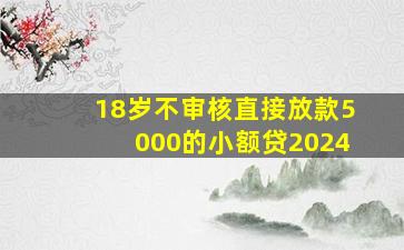 18岁不审核直接放款5000的小额贷2024