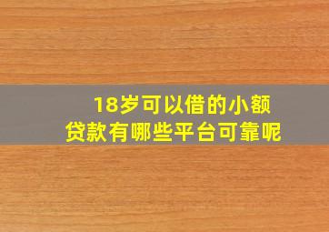 18岁可以借的小额贷款有哪些平台可靠呢