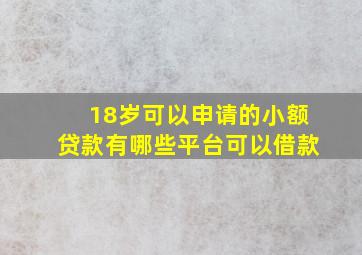 18岁可以申请的小额贷款有哪些平台可以借款