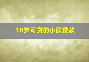 18岁可贷的小额贷款