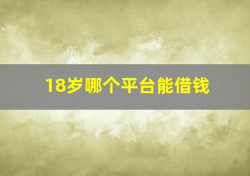 18岁哪个平台能借钱