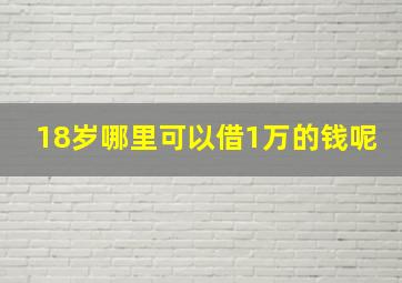 18岁哪里可以借1万的钱呢