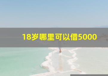 18岁哪里可以借5000