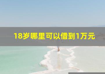 18岁哪里可以借到1万元