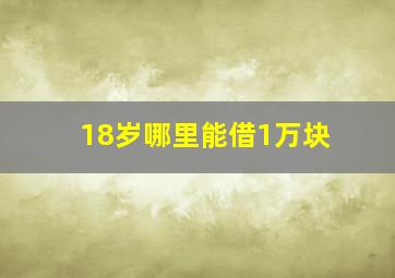 18岁哪里能借1万块