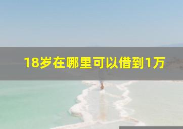 18岁在哪里可以借到1万