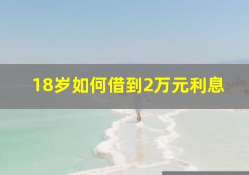 18岁如何借到2万元利息