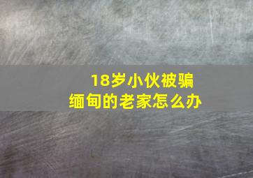 18岁小伙被骗缅甸的老家怎么办