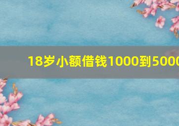 18岁小额借钱1000到5000