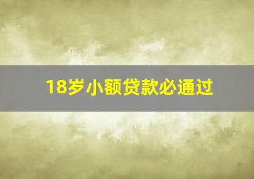 18岁小额贷款必通过