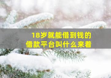 18岁就能借到钱的借款平台叫什么来着