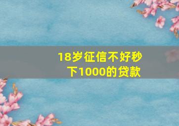 18岁征信不好秒下1000的贷款