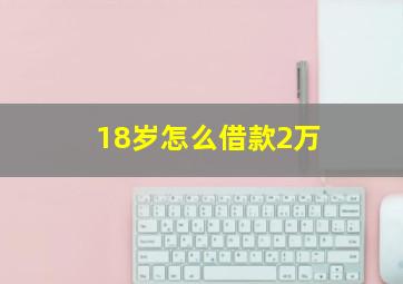 18岁怎么借款2万