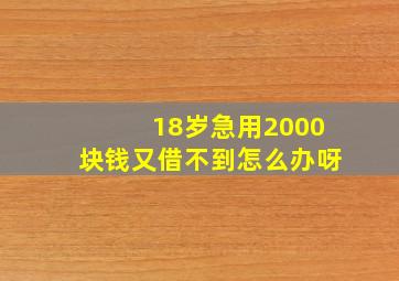 18岁急用2000块钱又借不到怎么办呀