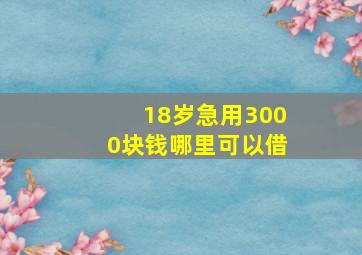 18岁急用3000块钱哪里可以借