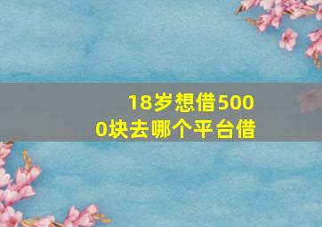 18岁想借5000块去哪个平台借