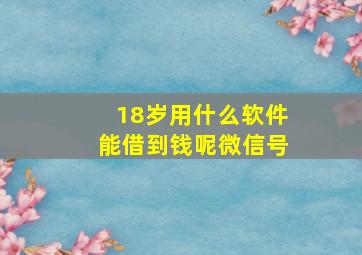 18岁用什么软件能借到钱呢微信号