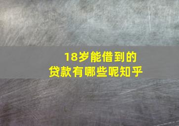 18岁能借到的贷款有哪些呢知乎