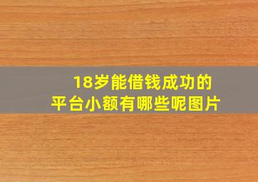 18岁能借钱成功的平台小额有哪些呢图片