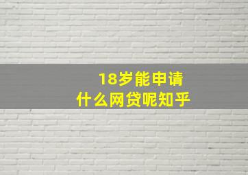 18岁能申请什么网贷呢知乎