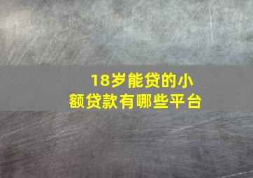 18岁能贷的小额贷款有哪些平台