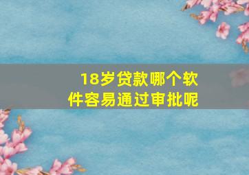 18岁贷款哪个软件容易通过审批呢