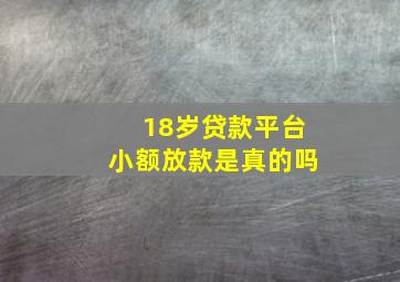 18岁贷款平台小额放款是真的吗