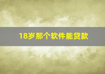 18岁那个软件能贷款