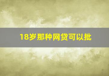 18岁那种网贷可以批