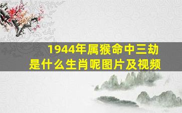 1944年属猴命中三劫是什么生肖呢图片及视频