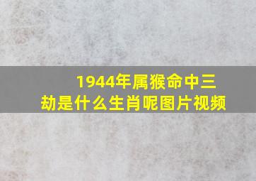 1944年属猴命中三劫是什么生肖呢图片视频