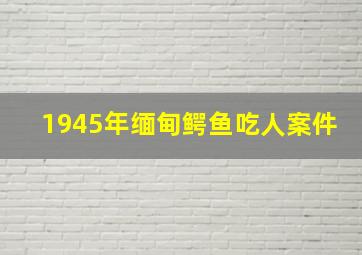 1945年缅甸鳄鱼吃人案件