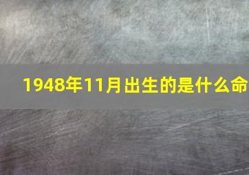 1948年11月出生的是什么命