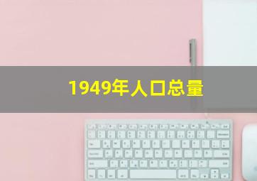 1949年人口总量