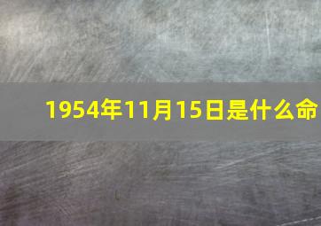 1954年11月15日是什么命