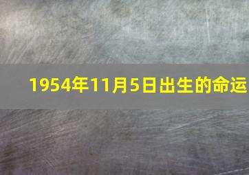 1954年11月5日出生的命运