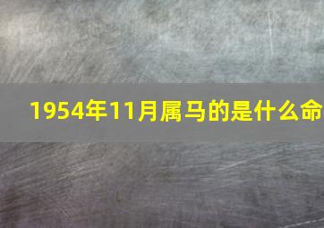 1954年11月属马的是什么命