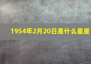 1954年2月20日是什么星座