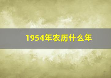 1954年农历什么年