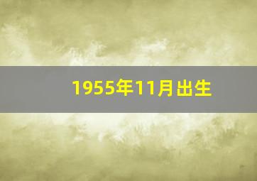 1955年11月出生