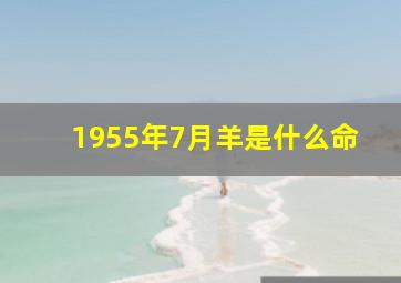 1955年7月羊是什么命