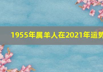 1955年属羊人在2021年运势