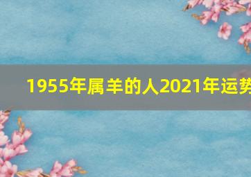 1955年属羊的人2021年运势