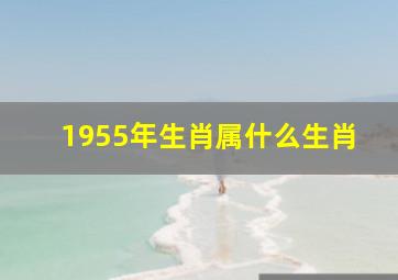 1955年生肖属什么生肖