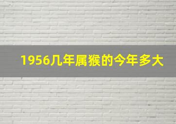 1956几年属猴的今年多大