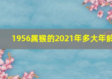 1956属猴的2021年多大年龄