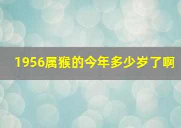 1956属猴的今年多少岁了啊