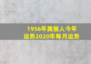 1956年属猴人今年运势2020年每月运势